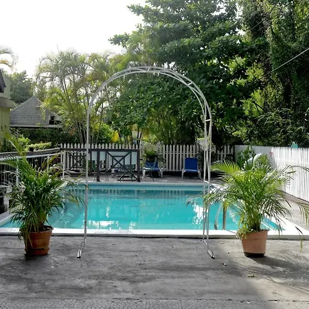Pineapplesuites
