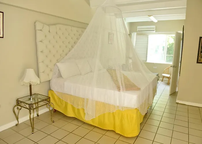 Pineapplesuites Hotel *
